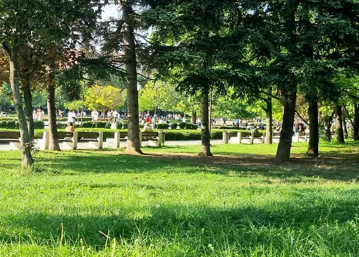 Cappuccino Dream * Sofia