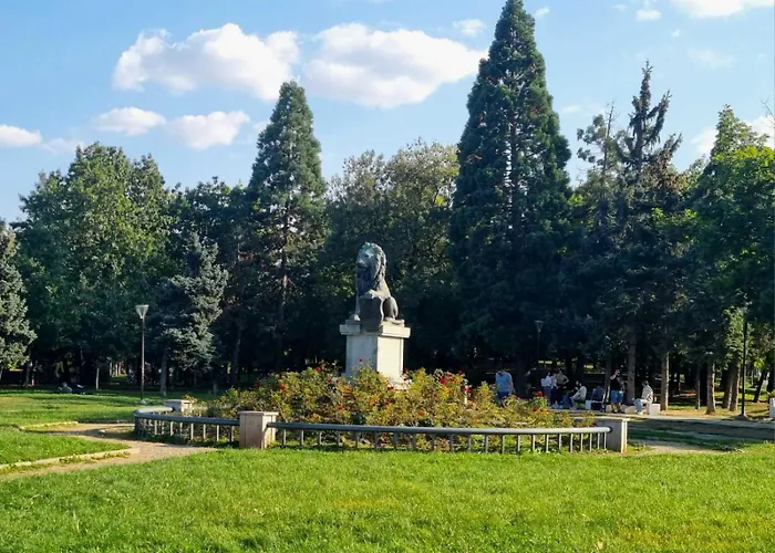 Cappuccino Dream Sofia