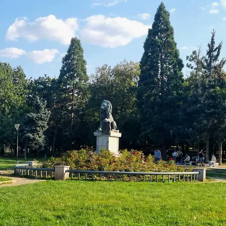 Cappuccino Dream Sofya